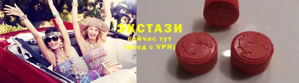СК Алексин