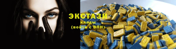 СК Алексин