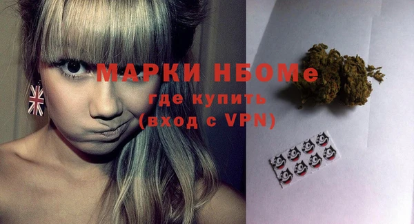 СК Алексин