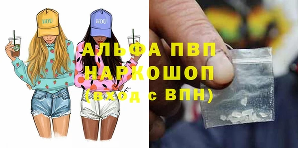 СК Алексин