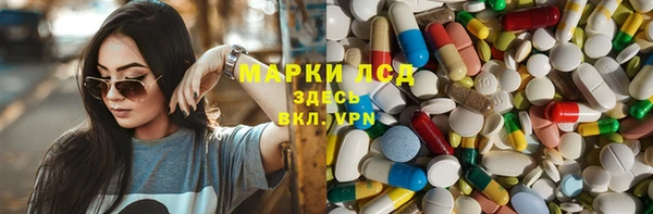 СК Алексин