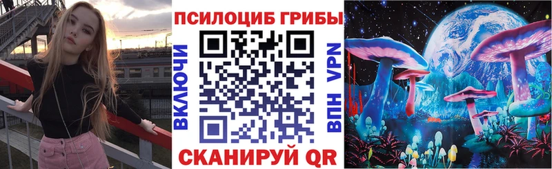 блэк спрут сайт Керчь Галлюциногенные грибы Psilocybe